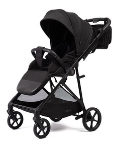 Прогулочная коляска Peppy Amici (реверсивное сидение)