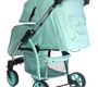 Прогулочная коляска Everflo Rover E-470