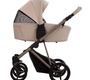 Детская коляска Bebetto PELPASSO PRO 2в1