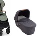 Laurel