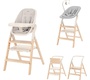 Стульчик для кормления Carrello Ergo 4в1 CRL-16701 