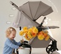 Коляска Sweet baby Elegante D SBL 