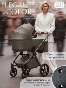 Коляска Sweet Baby Elegante Therma Colore SBL 2в1 