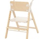 Стульчик для кормления Carrello Ergo 4в1 CRL-16701 
