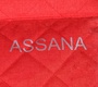 Прогулочная коляска Indigo ASSANA