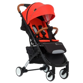 Легкая коляска Babyzz D200