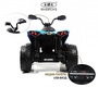 Детский электроквадроцикл Rivertoys BRP Can-Am Renegade (Y333YY) 