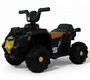 Детский электромобиль Rivertoys G400GG