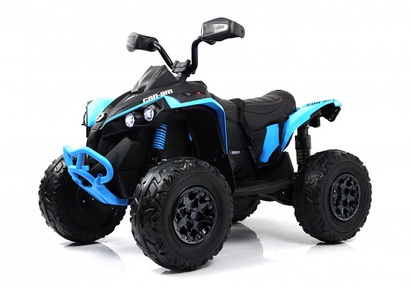 Детский электроквадроцикл Rivertoys BRP Can-Am Renegade (Y333YY) 