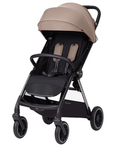 Коляска CARRELLO Delta CRL-5517