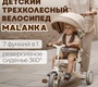 Велосипед-трансформер BubaGO Malanka 9в1