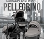 Детская коляска Bubago Pellegrino 3в1