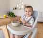 Стульчик для кормления Carrello Ergo 4в1 CRL-16701 