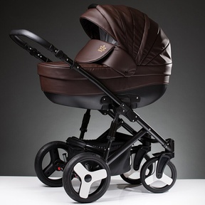 Детская коляска Esperanza Lotus Sport Eco 3 в 1 с автолюлькой