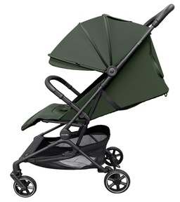Прогулочная коляска CARRELLO Evo CRL-5533