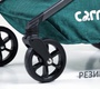 Прогулочная коляска CARRELLO Magia
