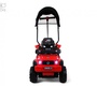 Электромобиль Rivertoys G005GG-A