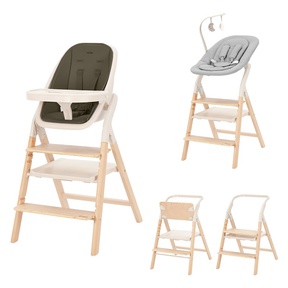 Стульчик для кормления Carrello Ergo 4в1 CRL-16701 
