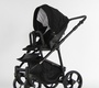 Детская коляска Retrus Olivia 3 в 1 с автолюлькой -переноской 