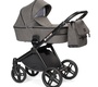 Детская коляска Lonex Emotion XT 2 в 1 2020