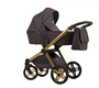Коляска LONEX EMOTION XT ECO 2 в 1 