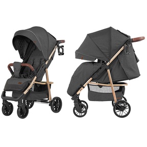 Коляска прогулочная BABY TILLY T-166 Eco 