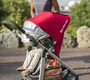 Прогулочная коляска UPPAbaby CRUZ 