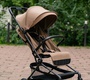 Прогулочная коляска CARRELLO Evo CRL-5533