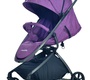 Прогулочная коляска Everflo Easy guard E-338 