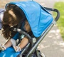 Коляска 2 в 1 UPPAbaby VISTA премиум класса 2019