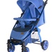 Rover  blue