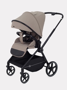 Прогулочная коляска Rant Moss RA323