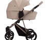 Детская коляска Bebetto PELPASSO PRO 2в1