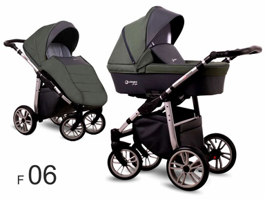 Детская коляска LONEX FIRST 2 в 1