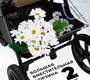 Прогулочная коляска Sweet Baby Elegante S SBL 