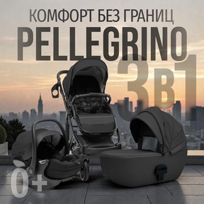 Коляска BubaGO Pellegrino 3в1
