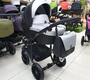 Детская коляска Bello Babies Mari 3 в 1