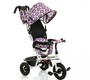Велосипед трицикл Babyhit Kids Tour XT