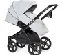 Детская коляска Lonex Emotion XT 2 в 1 2020