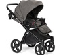 Детская коляска Lonex Emotion XT 2 в 1 2020