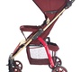 Прогулочная коляска Everflo Rover E-470
