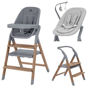 Стульчик для кормления Carrello Ergo 4в1 CRL-16701 