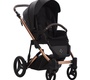 Детская коляска Bebetto Loren STELLA 2в1