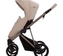 Детская коляска Bebetto PELPASSO PRO 2в1