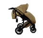Детская коляска Bruca Onyx 2 в 1