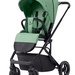 Pear Green