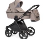 Детская коляска Lonex Emotion XT 2 в 1 2020