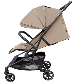 Прогулочная коляска CARRELLO Evo CRL-5533