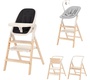 Стульчик для кормления Carrello Ergo 4в1 CRL-16701 