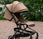 Прогулочная коляска CARRELLO Evo CRL-5533